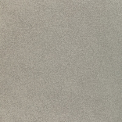 Kravet Design L-el Vado.stone.0 Kravet Design Upholstery Fabric in L-el Vado-stone/Grey/Light Grey